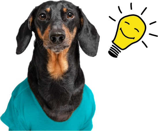 dachshund with lightbulb illustration